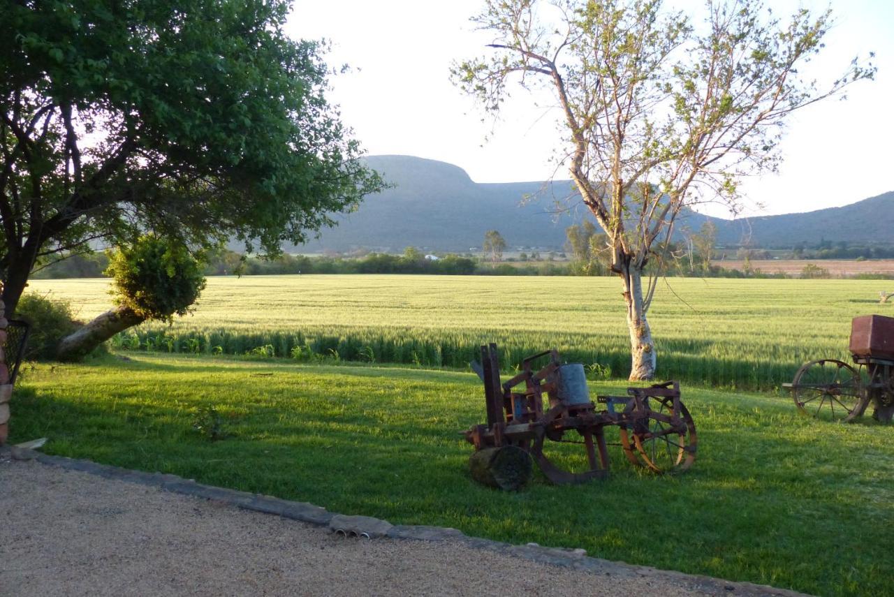 Farm stay Ploughman's Rest Ohrigstad